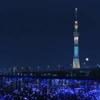 Light the way: Thousands of bulbs float down Tokyo\'s Sumida River during last year\'s Tokyo Hotaru Festival. | AMANOGAWA PROJECTE_SRTM/&#169; TOKYO HOTARU