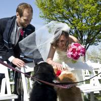 Perfect day: Ari Houser and Deborah Srabstein greet her dogs Buddy Jupiter and Olive April after their wedding ceremony in Baltimore, Maryland, in April 2012. They say they found guests using cell phones distracting at their wedding. | THE WASHINGTON POST