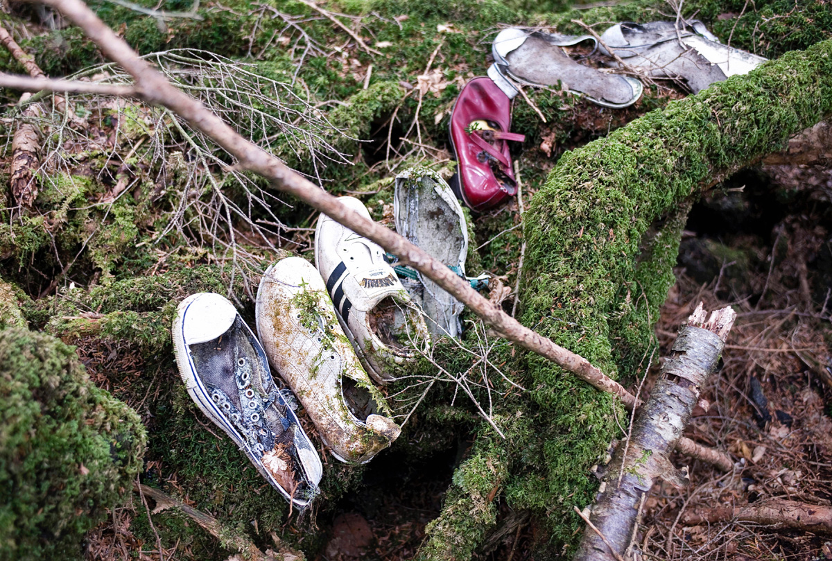 Image result for dead forest japan pictures