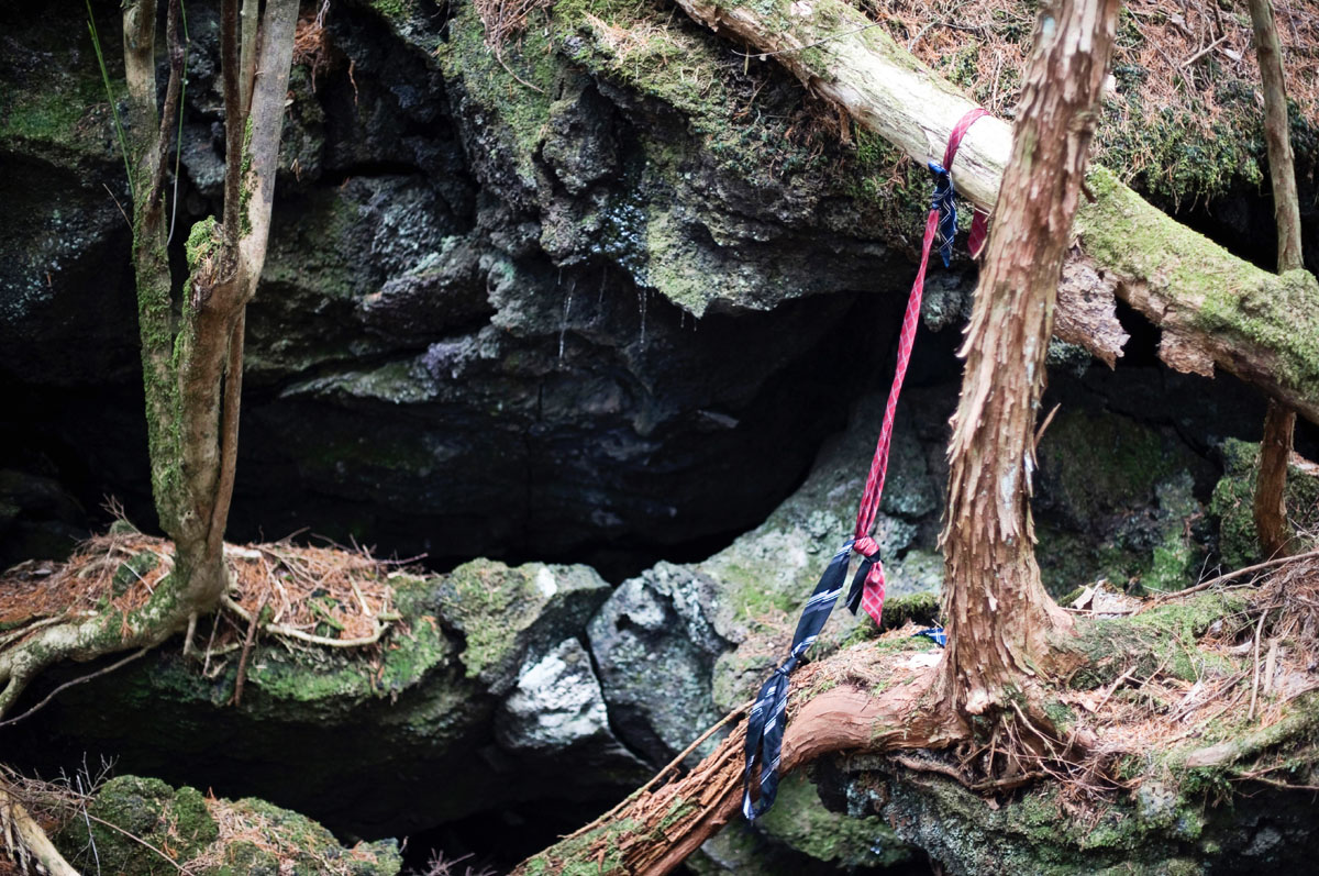 Inside Japan  s Suicide  Forest  The Japan  Times