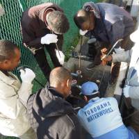Trainees from Africa go through a training session on how to inspect for water leakages under the guidance of Yokohama Waterworks experts. | CITY OF YOKOHAMA