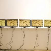 Everyday decay: \"Chain/ banana, ice\" (2009), an installation by Nobuaki Onishi in which three banana sculptures created by the artist remain pristine as the others around them brown and shrivel with age. | COURTESY OF GALLERY NOMART
