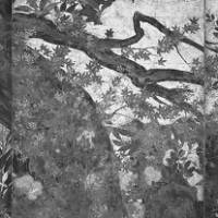 A section from \"Maple\" by Hasegawa Tohaku (ca. 1592), in ink, color and gold leaf on paper | DAN GRAHAM