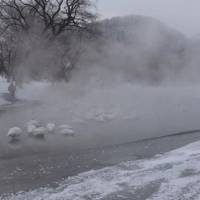 Cold comforts: A lone figure contemplates frosted whooper swans on Lake Kussharo in the Akan National Park in eastern Hokkaido at a spot where plumes of mist are rising from a geothermal spring. | MARK BRAZIL PHOTOS