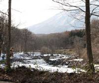 Nature’s bounty: An angler snapped from my study window (left) casts his line into the Torii River, which is dwarfed in this corner of Nagano Prefecture by mighty Mount Kurohime as it rushes on its way to the Sea of Japan. Sweet and sour amid the late snow of spring