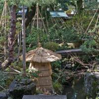 Winterized: These conical bamboo-and-twine yuki-tsuri ropes stop snow settling on tree branches and snapping them off. | STEPHEN MANSFIELD PHOTO