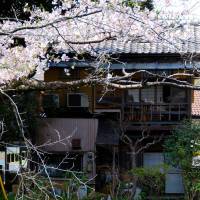 In bloom: Situated in Kita-Kamura, a short train ride from Tokyo, En overlooks an ancient pond with cherry trees. The multi-course kaiseki meals include a dish of premium sashimi. | ROBBIE SWINNERTON