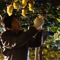 Takahata\'s Hisa Kawabe. | &#169; 2013 Marvel. All Rights Reserved.