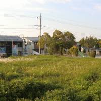 Bright energy prospects: New solar houses under construction in Chiba Prefecture. | PHILIP BRASOR