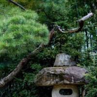 Shapely hulk: The massively beautiful, rustic-style stone lantern that graces the grounds of Nanzo-in Temple. Miso happy in Nakamurabashi