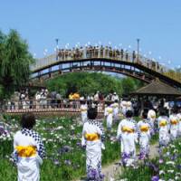 Dancers perform in Itako\'s iris gardens beside the Mae River. | COURTESY OF HARADA TOMATO