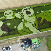 Animal characters are seen in a rice field in Asahikawa, Hokkaido, on Thursday. Earlier this year, local elementary school students planted rice species with different colors based on a design blueprint. Visitors can view the \"rice paddy art\" through early August. | KYODO