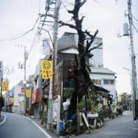 The simple truth: Images of Tokyo\'s backstreets from Edgar Honetschlager\'s new book, \"Tokyo Plain\" | EDGAR HONETSCHLAGER