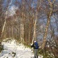 Mountain skis offer a fun way to hike up and glissade down &#8212; but not if it\'s icy. | IMAGES COURTESY OF THE NATIONAL MUSEUM OF MODERN ART, KYOTO