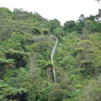 No way in: Part of the 8.6-km-long mammal-proof fence at Karori Wildlife Sanctuary. | MARK BRAZIL