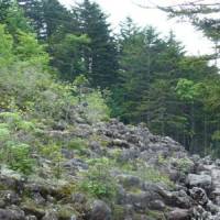 Past continuous: One of the \"fields\" of boulders in Hokkaido dumped by glaciers some 15,000 years ago, where northern pikas now like to live. | MARK BRAZIL PHOTOS