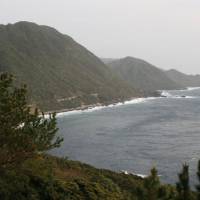 In the raw:  The west coast of Yakushima near the Segire River basin, where locals opposed, and overcame, national government plans to fell all the ancient trees. | EDAN CORKILL PHOTOS