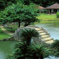 Balanced view: Great clumps of cycads, such as these in the foreground, add to the semi-tropical aspect of Shikina-en in Naha, whose buildings, ponds and vegetation cover almost 42,000 sq. meters. | SATOKO KAWASAKI PHOTO