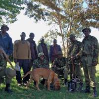 The reserve\'s tracker-dog unit started by Takita. | PHOTO COURTESY OF MARA CONSERVANCY