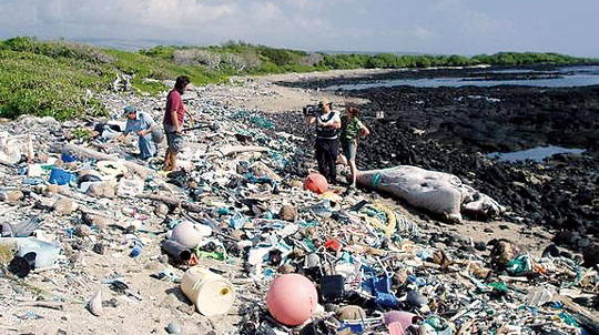 Cigarette butts: how the no 1 most littered objects are choking our coasts, Environment