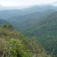 Green glory: An astonishingly unbroken vista across part of the Atlantic Forest in the Intervales State Park in Sao Paolo State, Brazil. The ancient forest is overwhelming in its biodiversity, and new species are still being discovered there every year &#8212; although now only 2 to 5 percent of the original forest remains. | MARK BRAZIL PHOTOS