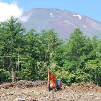 Forestry work in progress on the Kitafuji commons, which also hosted the conference. | ONSHIRIN REGIONAL PUBLIC ORGANIZATION