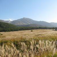 Former common grazing land now incorporated into the Aso-Kuji National Park in Kyushu. | WINIFRED BIRD PHOTO