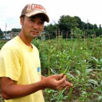 Finance to farming: Setsuo Nakagoshi, a former financial securities specialist, holds up an organic okra from his Watashi no Hata farm. | MELINDA JOE PHOTO