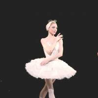 Classic tale: Sarah Lamb plays Odette in \"Swan Lake.\" | BILL COOPER, COURTESY OF THE ROYAL OPERA HOUSE