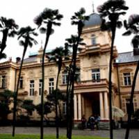 Eerie palmistry:  Trachycarpus fortunei  palms lean in toward the grand facade of Kyu-Iwasaki-tei, the Josiah Condor-designed 1896 mansion commissioned by Baron Hisaya Iwasaki, third president of Mitsubishi, the company his family founded. | KIT NAGAMURA PHOTOS