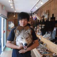 Say cheese: Nature souvenirs such as this mounted wolf\'s head abound at various Ainu shops in Otaru. | JAN-WILLEM PAIJENS PHOTOS