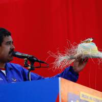 Feathered friend: Nicolas Maduro, then acting  Venezuelan president, holds up a farmworker\'s hat with a bird perched on top during an election campaign rally in Catia La Mar on April 9. A week earlier, Maduro assured another rally that late President Hugo Chavez had appeared to him as a small bird to give him his blessing for the top job. | AP