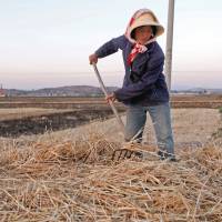 Facing a drier future: A farmer harvests wheat in Yunnan province, China, in May 2011. Falling water tables are already adversely affecting harvest prospects in China, which rivals the United States as the world\'s largest grain producer. | BLOOMBERG