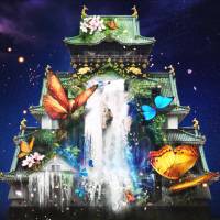 An Osaka Convention and  Tourism Bureau image shows 3-D computer graphic images of butterflies, greenery and waterfalls being projected onto Osaka Castle via projection mapping.  The image will be shown as part of the city\'s annual winter illumination event, which starts in November.  The 3-D visual effects at the castle begin Dec. 14. | KYODO