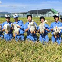 Quack team: Saya High School students with some of the school\'s paddy ducks. | PHOTO COURTESY OF SAYA HIGH SCHOOL