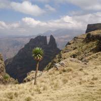 Off the beaten track: A typically spectacular view in the Simien Mountains National Park of northern Ethiopia taken in January 2013 from above the tree line near a campsite in a district called Geech. Almost half a century ago, yours truly stopped over at the very same place en route to establishing the national park. | FLORIAN FELL/CREATIVE COMMONS