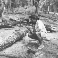 Assistant Warden Mesfin Abebe, my second-in-command back then, takes stock amid illegally felled trees. | C.W. NICOL