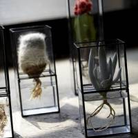 Daisuke Tsumanuma and Kenichi Yamada\'s 1012 Terra plant pots | PHILIP BRASOR
