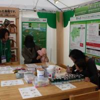 Forest for the trees: Visitors to the Asahi Breweries Group booth set up at the COP10 site in Nagoya take in a workshop utilizing trees cut down for thinning at the group-owned forest in Hiroshima Prefecture on Tuesday. The preservation of a healthy forest is important for securing clean water and air, the group said. | SETSUKO KAMIYA