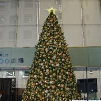 Illuminating: The Christmas \"Tree of Hope\" is lighted Tuesday in Tokyo\'s Marunouchi district during a fundraising event hosted by Refugees International Japan. | MASAMI ITO