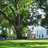 Back in favor: Solar panels are readied for installation on the roof of the  White House on  Thursday. | AFP-JIJI