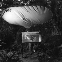 A lone fish tank in Irozaki, Shizuoka (1988) The tireless patience of a behavioral photographer