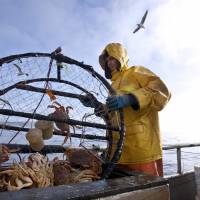 Contemporary language: A lively translation of three representative works by Takiji Kobayashi includes his most famous work of proletarian literature, \"The Crab Cannery Ship.\" | BLOOMBERG