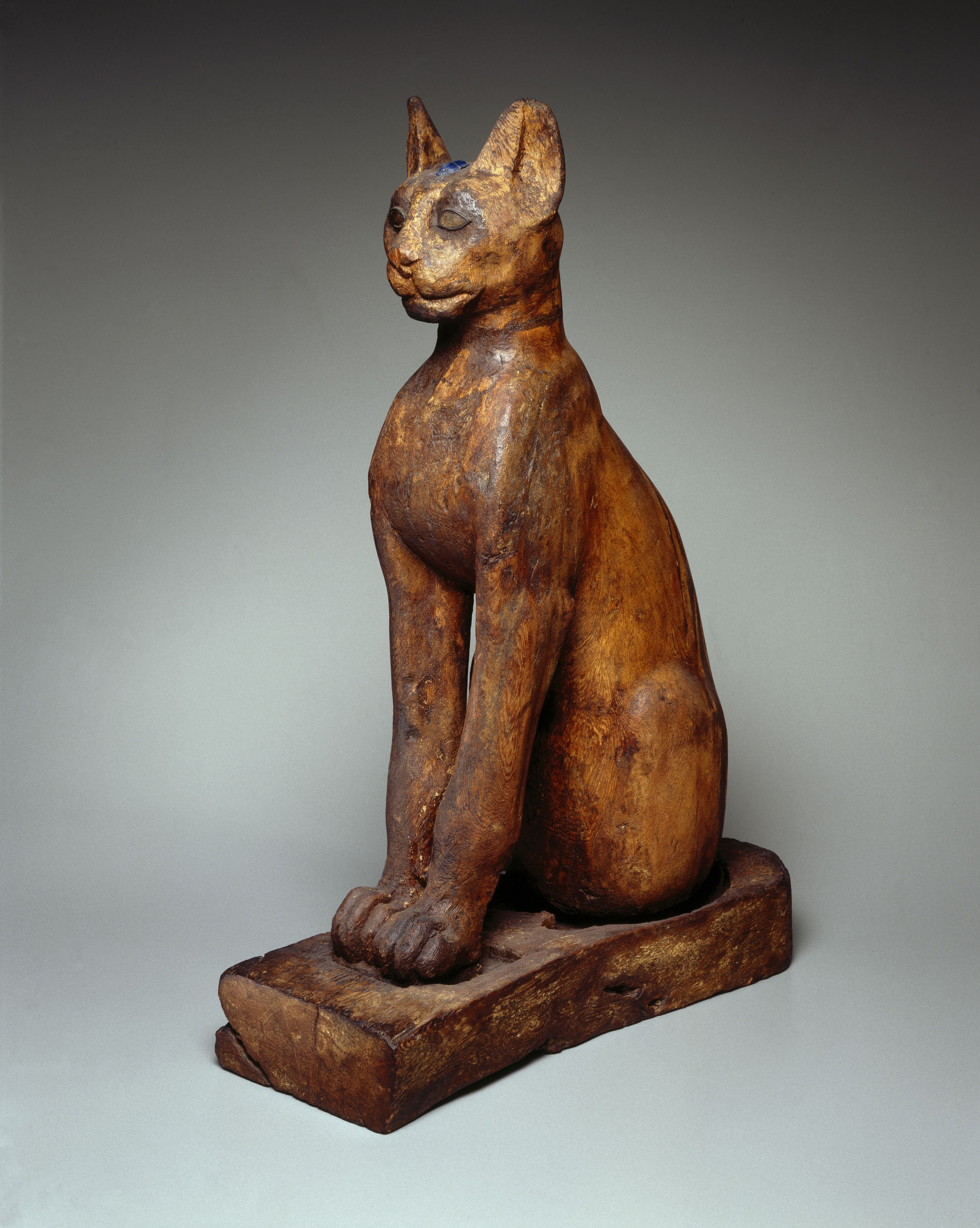 History of the cat from ancient god to cuddly pal | The Japan Times History of the cat from ancient god to cuddly pal | The Japan Times