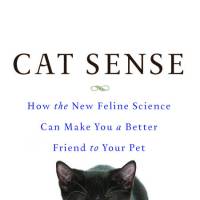 History of the cat from ancient god to cuddly pal