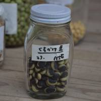 Saving for the future: A jar of Kura kake beans, a traditional variety of soybean from Nagano, that has been stored in the seed center. | WINIFRED BIRD