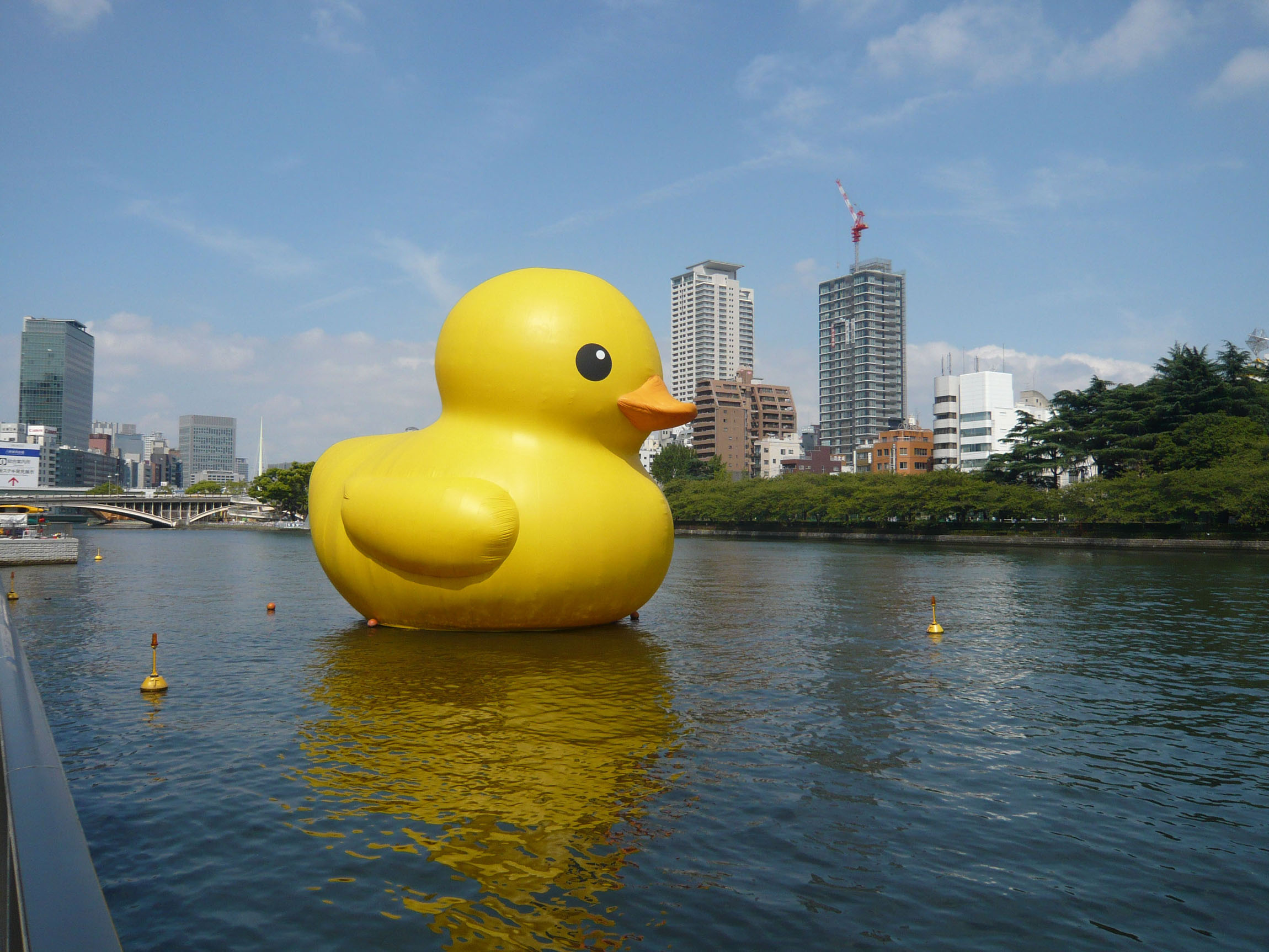Public bathtime: Dutch artist Florentijn Hofman's giant floating rubber duck sculpture visits Osaka in 2009. The duck comes back to the city this weekend. | &#169; 2013 'Kids Return' Seisaku Iinkai