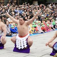Yokozuna Harumafuji (center) performs a sumo ritual at Izumo Taisha Shrine in Shimane Prefecture on Wednesday to celebrate this year\'s \"sengu\" renovation, which takes place roughly every 60 years. Wrestlers also visited and worshiped at Nominosukune Shrine, which enshrines the founder of sumo. It was built Oct. 17 in the precinct of Izumo Taisha. | KYODO