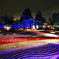 The garden of Kodaiji Temple in Higashiyama Ward, Kyoto, is lit up Wednesday evening, two days ahead of the start of a special illumination event that runs through Dec. 10. Painter Senrin Yamagishi designed the arrangement for the variously colored light-emitting diodes. | KYODO