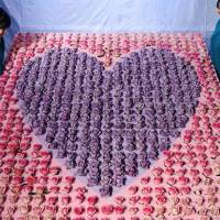 Two workers at Hiroshima Botanical Garden view a display of 300 blue roses arranged in the shape of a heart Wednesday at the facility in Saeki Ward. Park officials hope couples and families seeing the display, which lasts till Monday, will experience a feeling of love. | KYODO